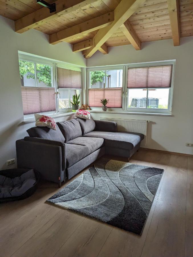 Ferienwohnung Trixi Hollersbach im Pinzgau Zewnętrze zdjęcie